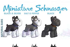 Graphic Miniature Schnauzer Dog Art