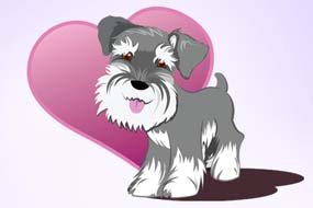 Graphic Miniature Schnauzer Dog Art