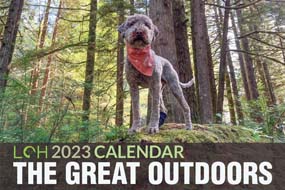 Dog Calendar Graphic Design