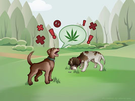 Dog Illustrations by Valerie Ryan